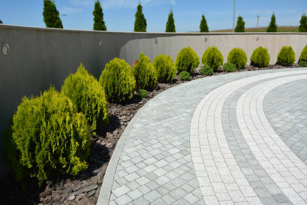 Best Driveway Pavers Near Me  in Centerville, MN